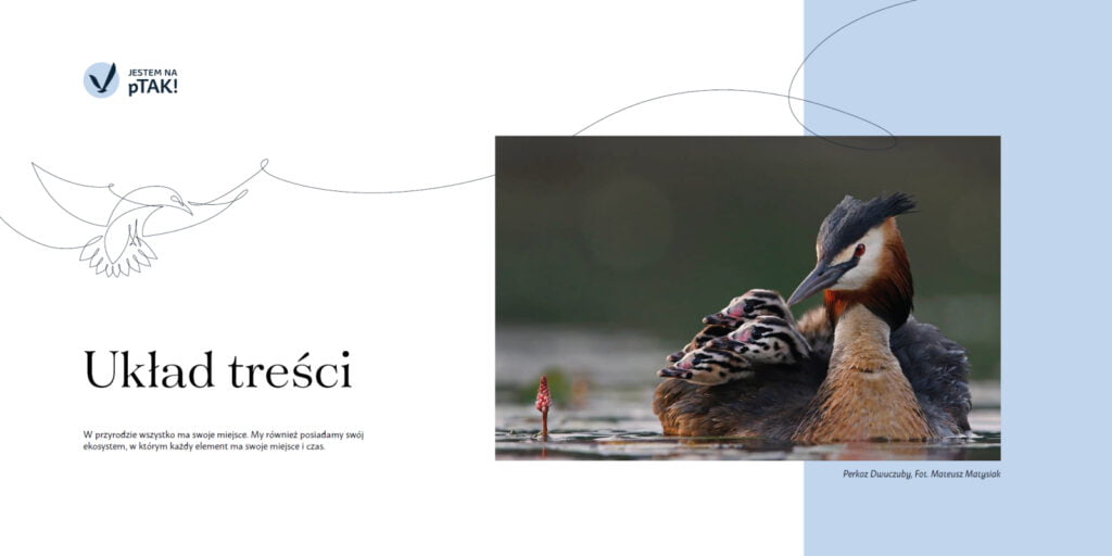 brandbook jestem na ptak uklad